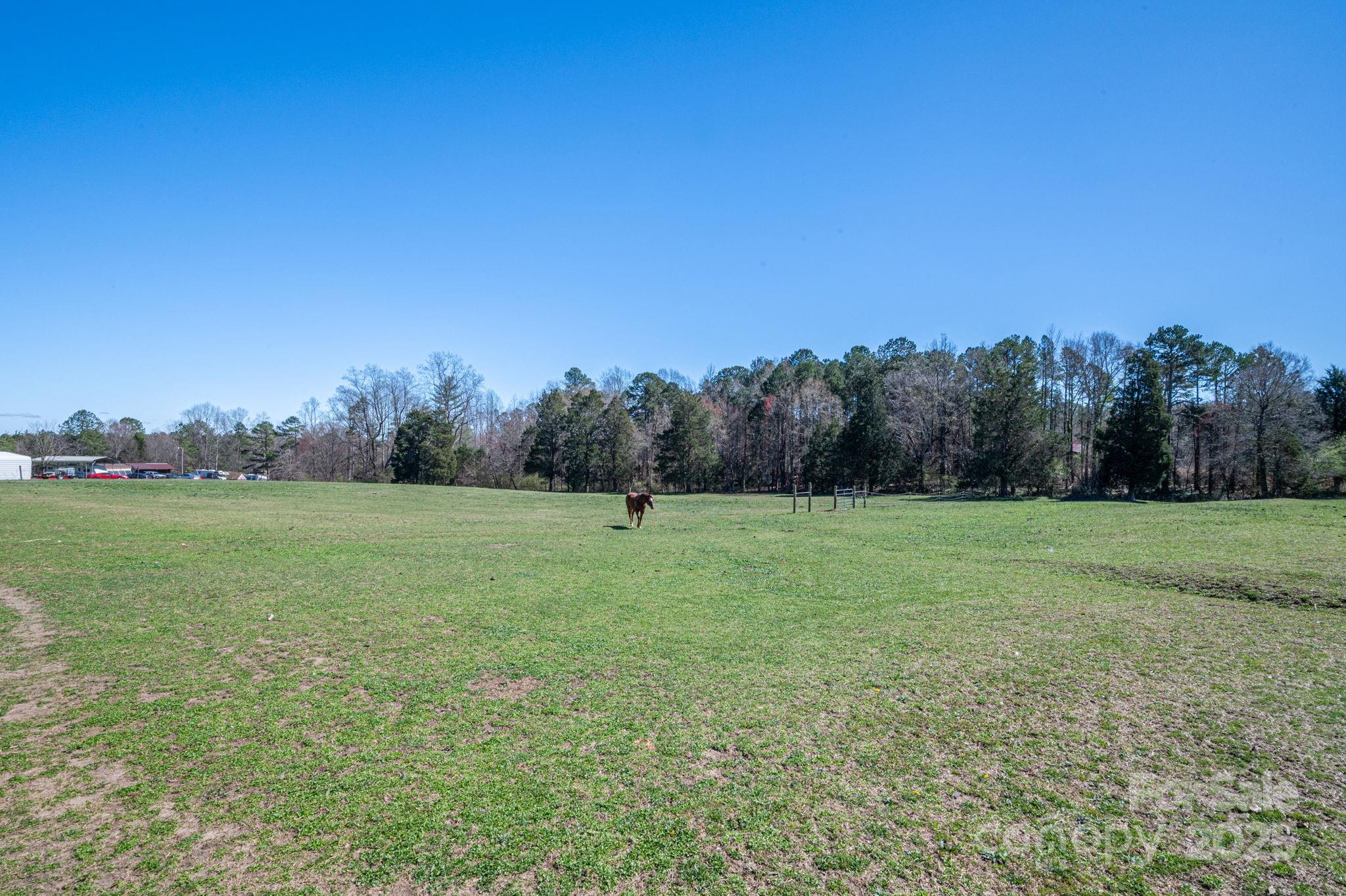 114 T R Foster Road Kings Mountain, NC 28086 - Photo 3 of 19 Gallery Image 3