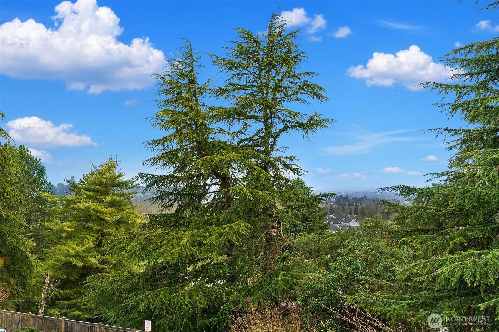 6908 31st Avenue Southwest Seattle, WA 98126 - Photo 27 of 33