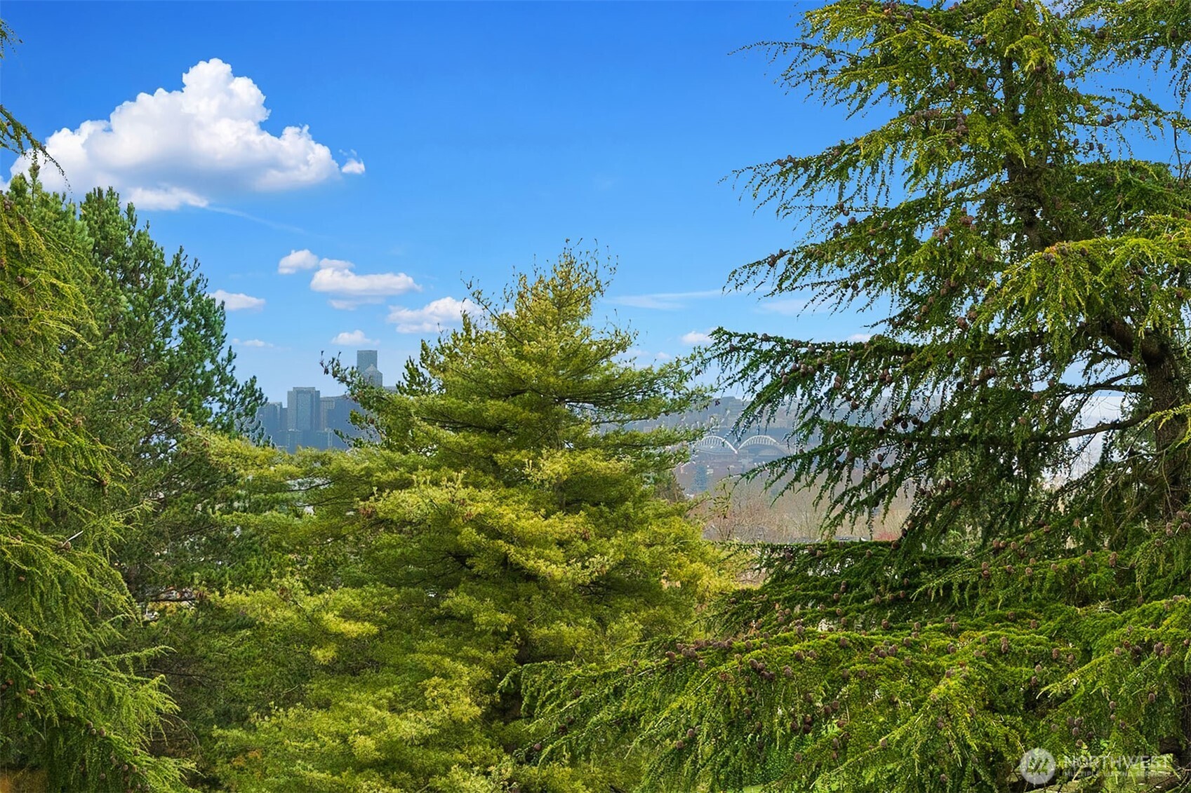 6908 31st Avenue Southwest Seattle, WA 98126 - Photo 28 of 33
