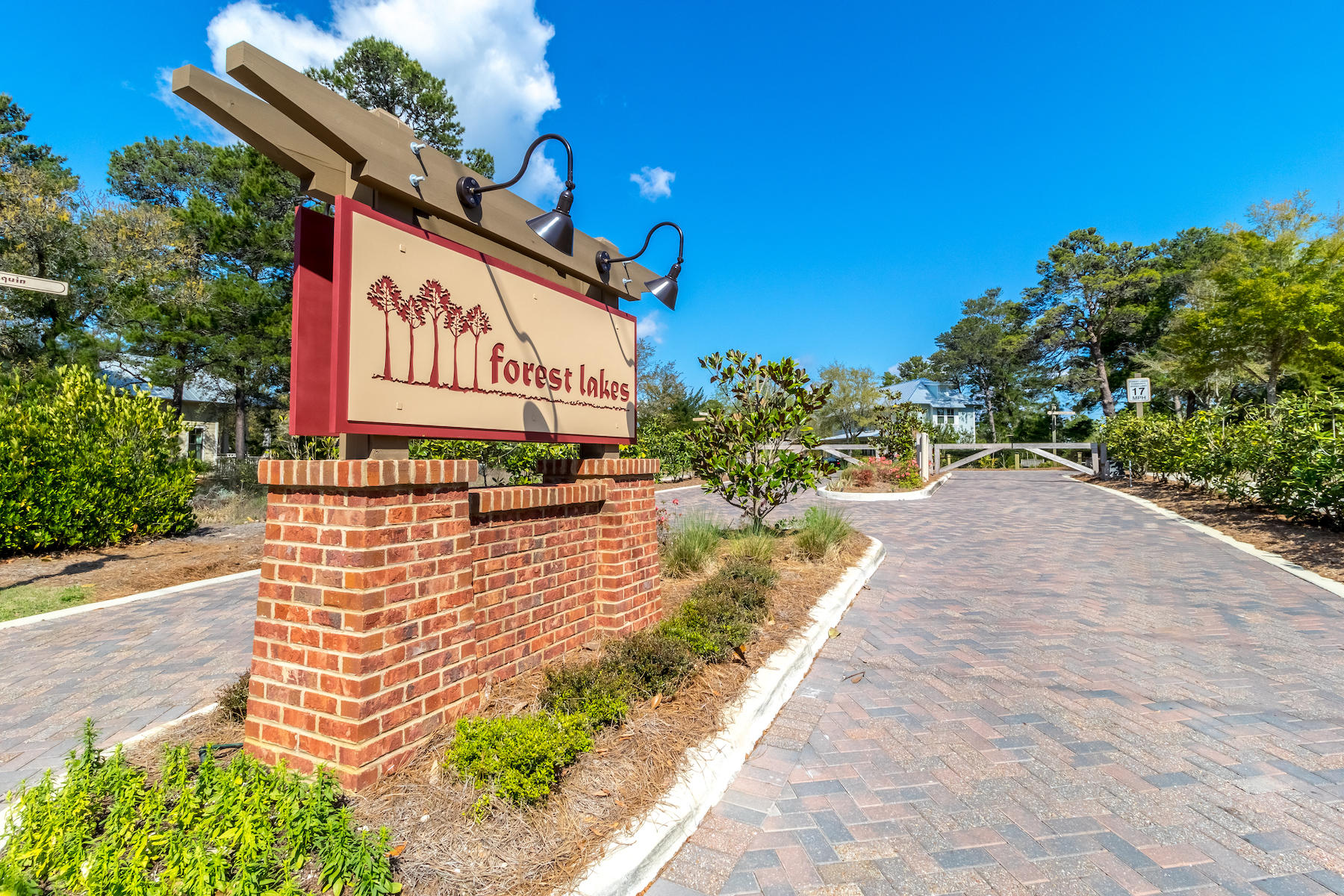 Lot 1 West Okeechobee Santa Rosa Beach Santa Rosa Beach, FL 32459 - Photo 13 of 13 Forrest Lakes-21