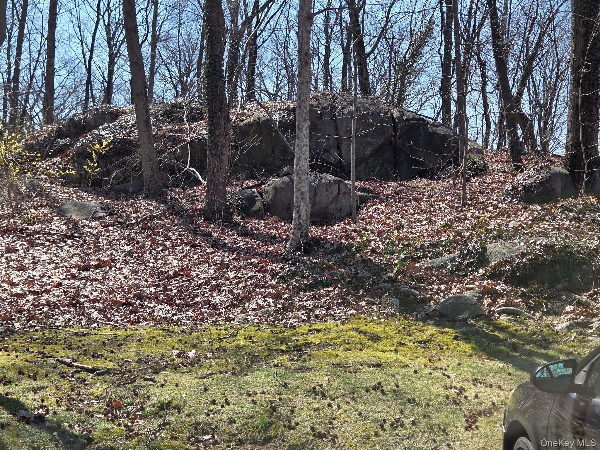 65 Rockledge Road, Unit TG Bronxville, NY 10708 - Photo 24 of 25 The grounds offer outdoor spaces for recreation for owners