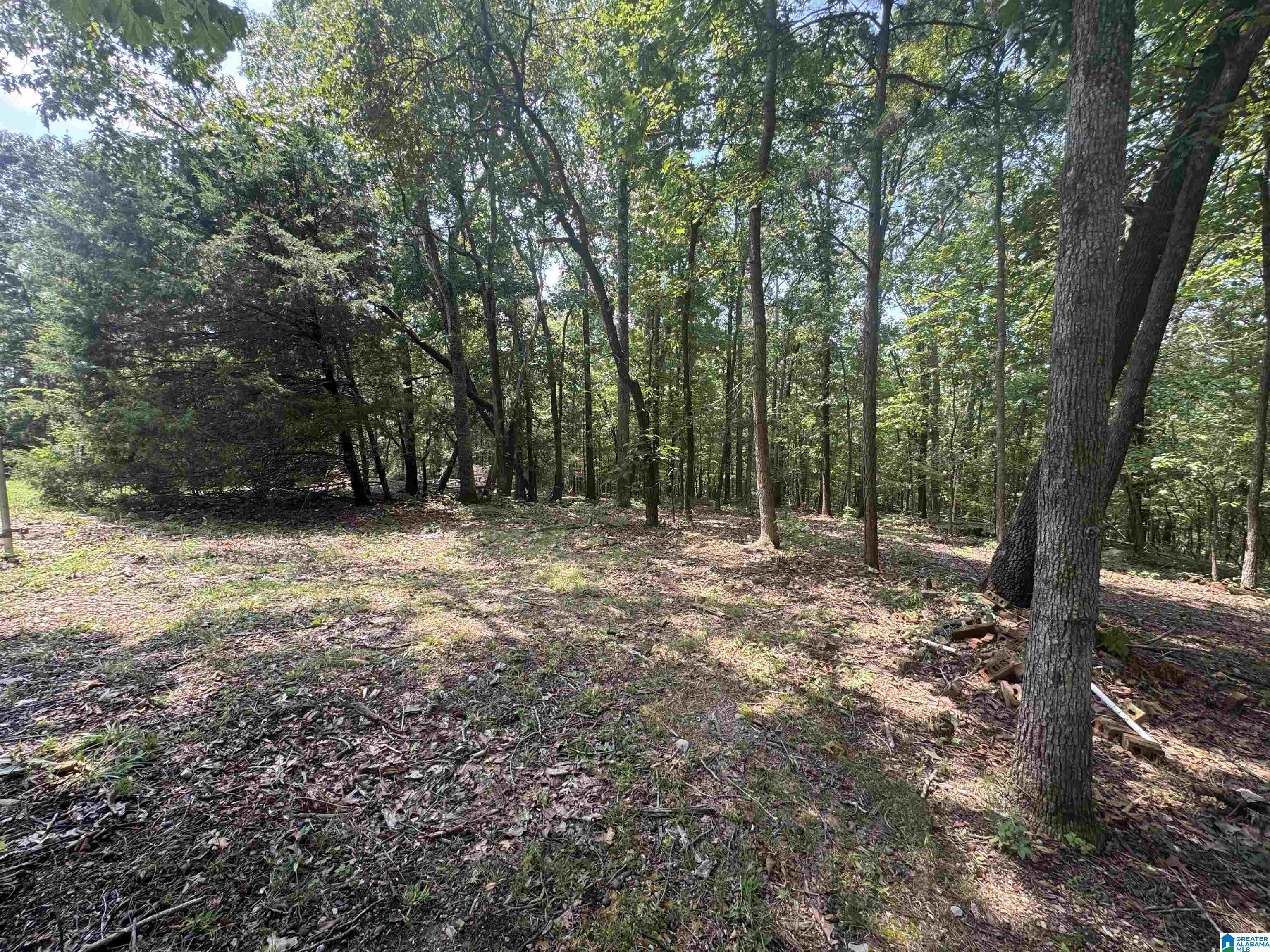 305 Stone Ridge Trail North Anniston, AL 36207 - Photo 60 of 72