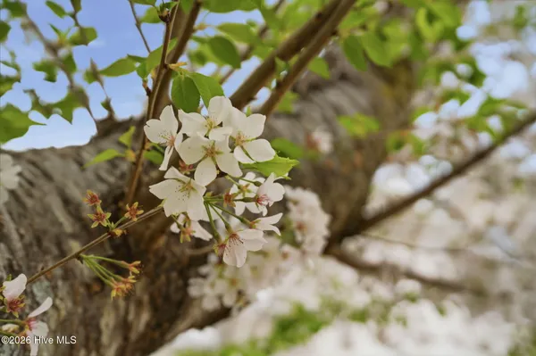 $890,000 | 115 Rachels Point Road, West End, NC 27376