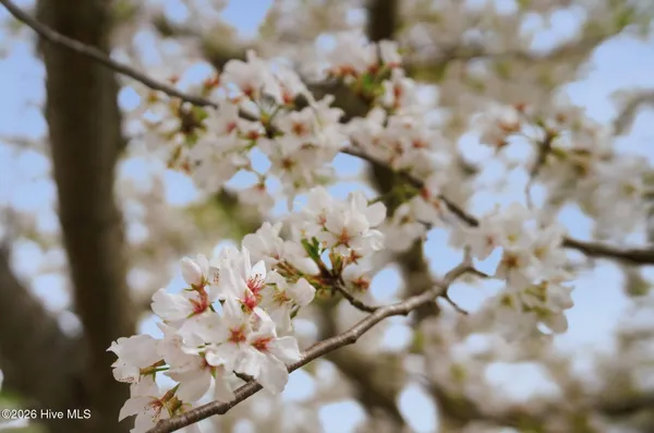 $890,000 | 115 Rachels Point Road, West End, NC 27376