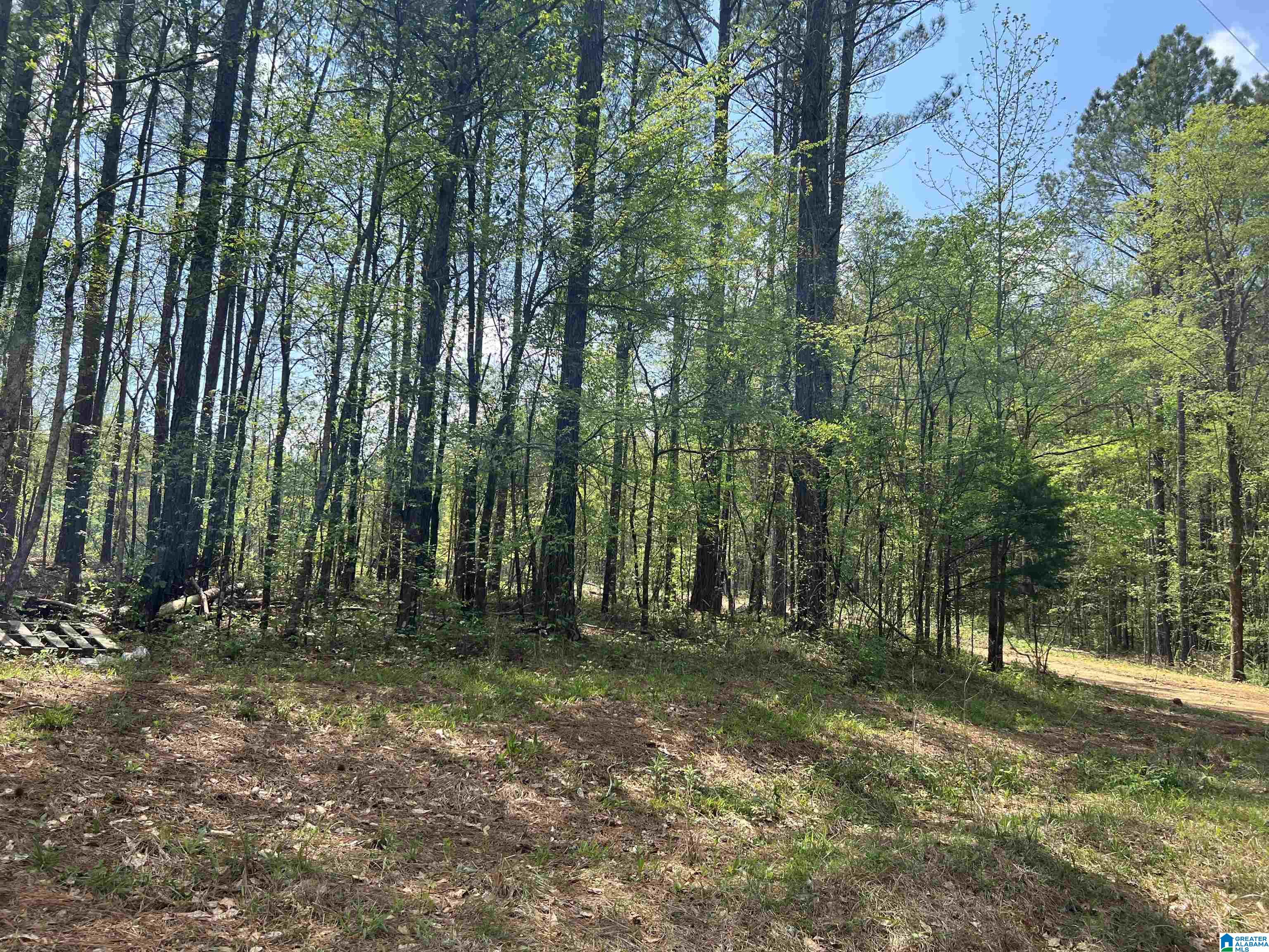 371 North Horton Road, Unit 1A Wilsonville, AL 35186 - Photo 5 of 8