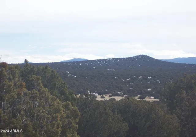 $13,947 | 45 County Road, Show Low, AZ 85901