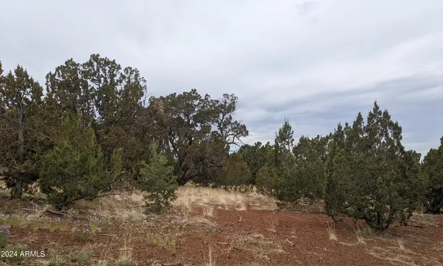 $13,947 | 45 County Road, Show Low, AZ 85901