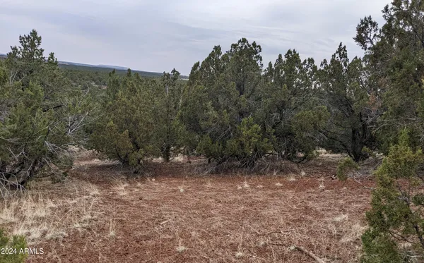 $12,947 | 45 County Road, Concho, AZ 85924