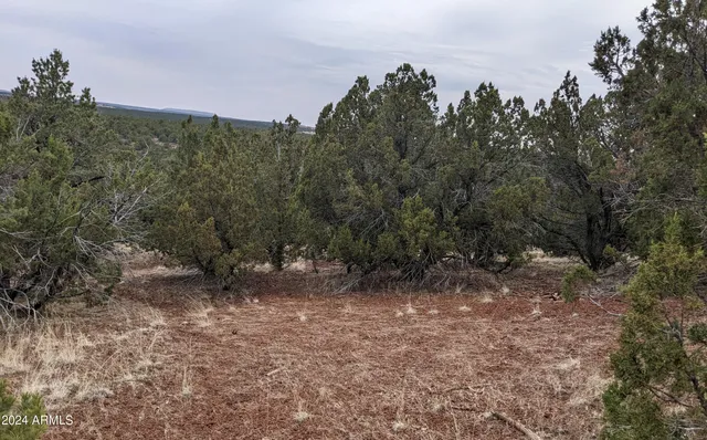 $13,947 | 45 County Road, Show Low, AZ 85901