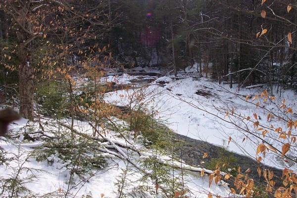 632 Moss Road Lewis, NY 12950 - Photo 3 of 5 Gallery Image 3
