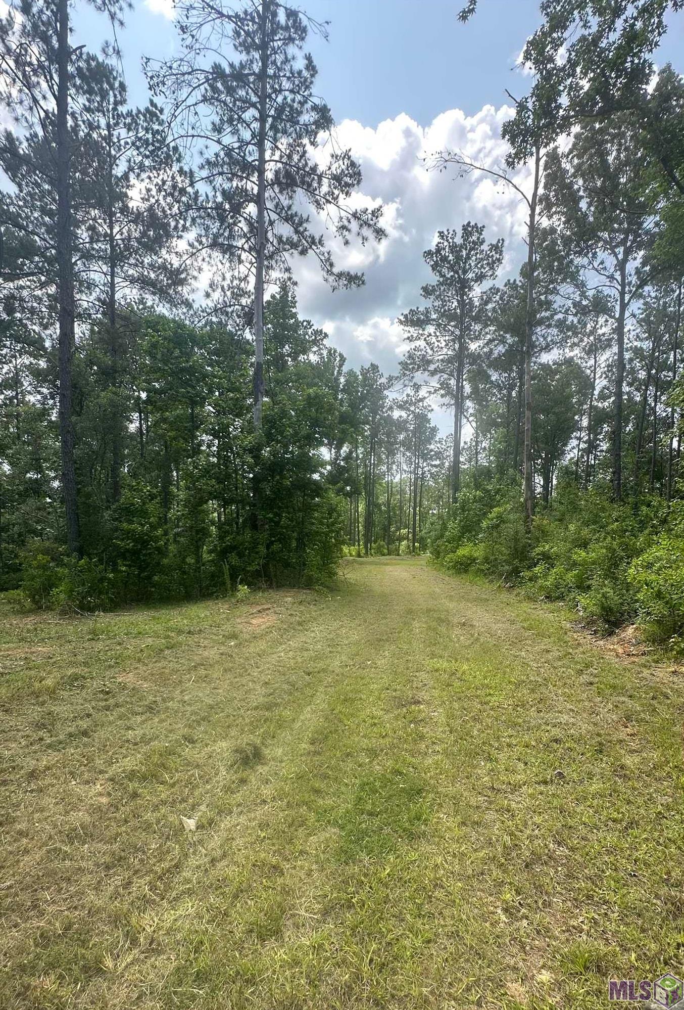 9139 Peterson Road St. Francisville, LA 70775 - Photo 4 of 8