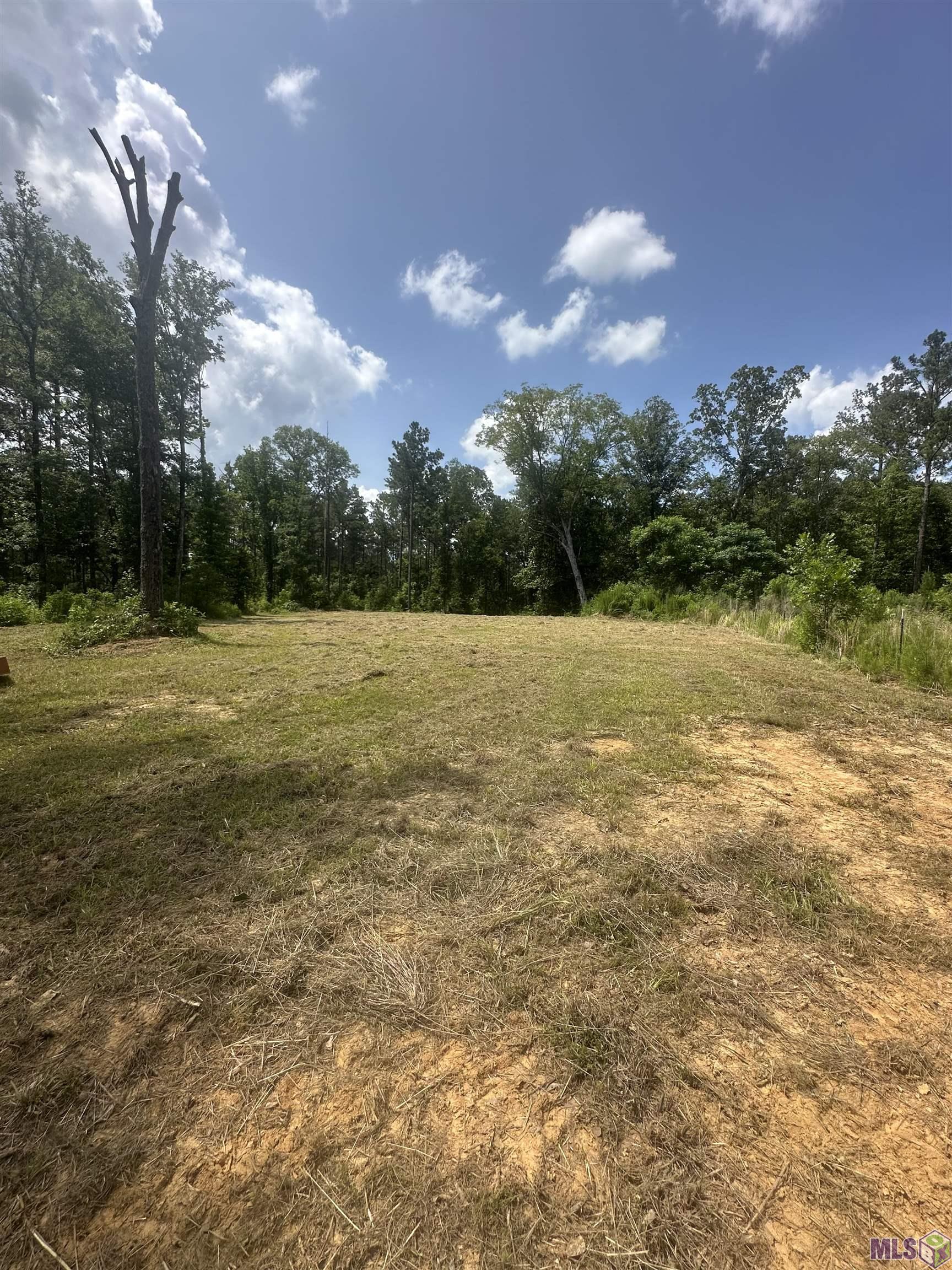 9139 Peterson Road St. Francisville, LA 70775 - Photo 5 of 8