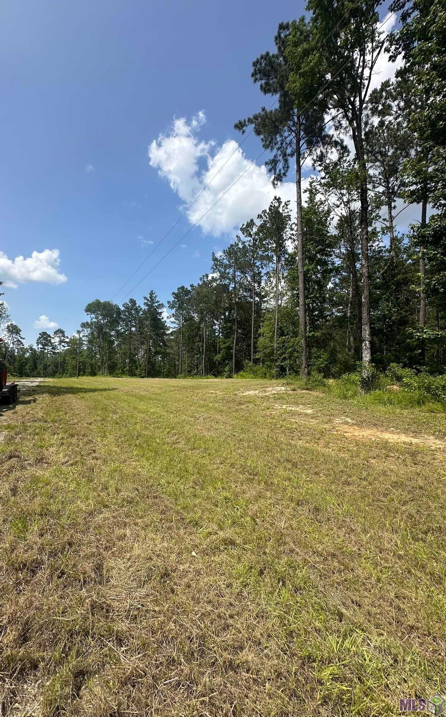 9139 Peterson Road St. Francisville, LA 70775 - Photo 6 of 8