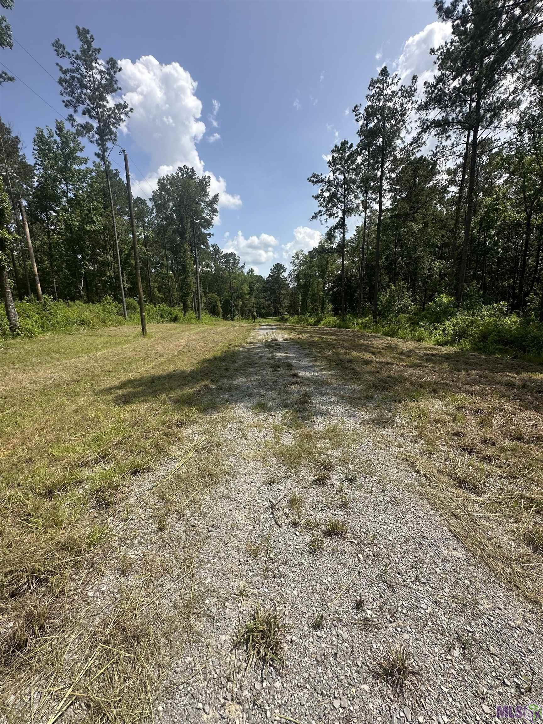 9139 Peterson Road St. Francisville, LA 70775 - Photo 7 of 8