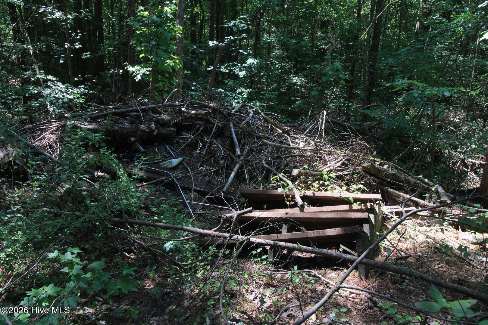 10466 Moores Chapel Road Charlotte, NC 28214 - Photo 29 of 50 Ground Dump Site