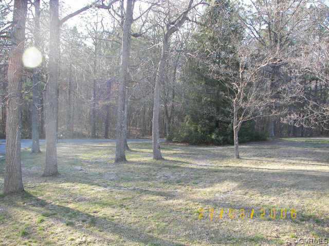 11543 Doswell Road Doswell, VA 23047 - Photo 2 of 8 a view of a yard with large trees