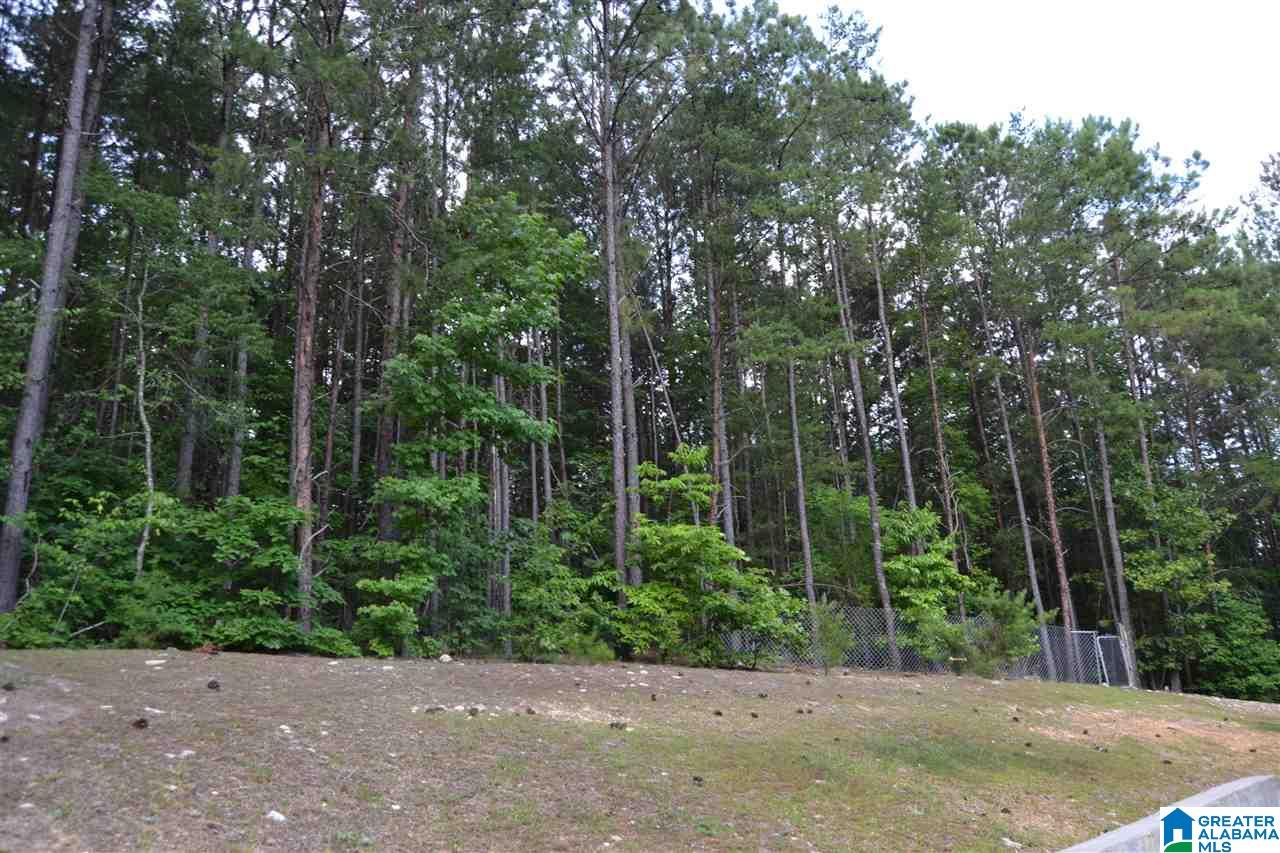 1179 Ferry Road Columbiana, AL 35051 - Photo 32 of 34