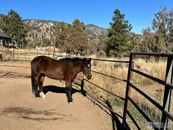 $850,000 | 123 Mohawk Road, Lyons, CO 80540