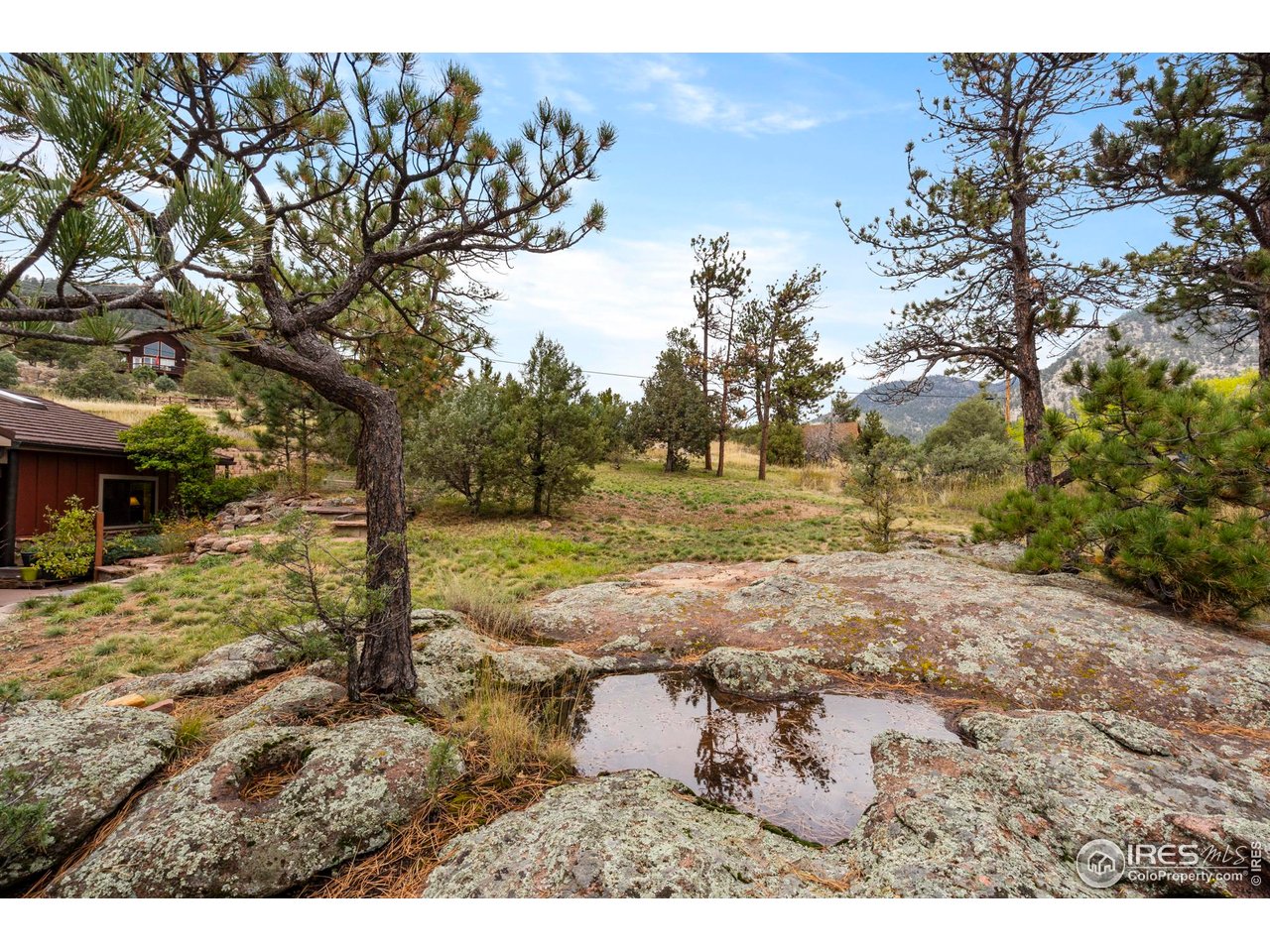 123 Mohawk Road Lyons, CO 80540 - Photo 33 of 38 a view of a yard with trees