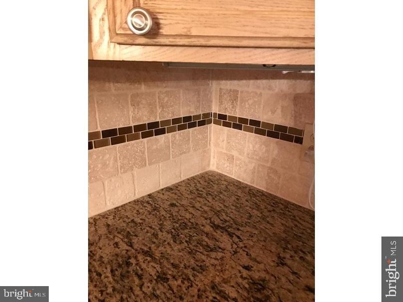 12 Deer Run Road Perkasie, PA 18944 - Photo 2 of 33 Back Splash