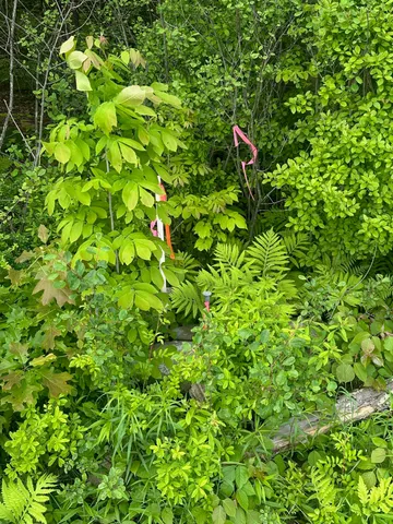 $65,000 | 123 Highway 5, Unit LOT #3, Westminster, VT 05346