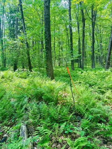 $65,000 | 123 Highway 5, Unit LOT #3, Westminster, VT 05346