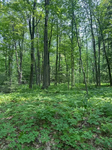 $65,000 | 123 Highway 5, Unit LOT #3, Westminster, VT 05346