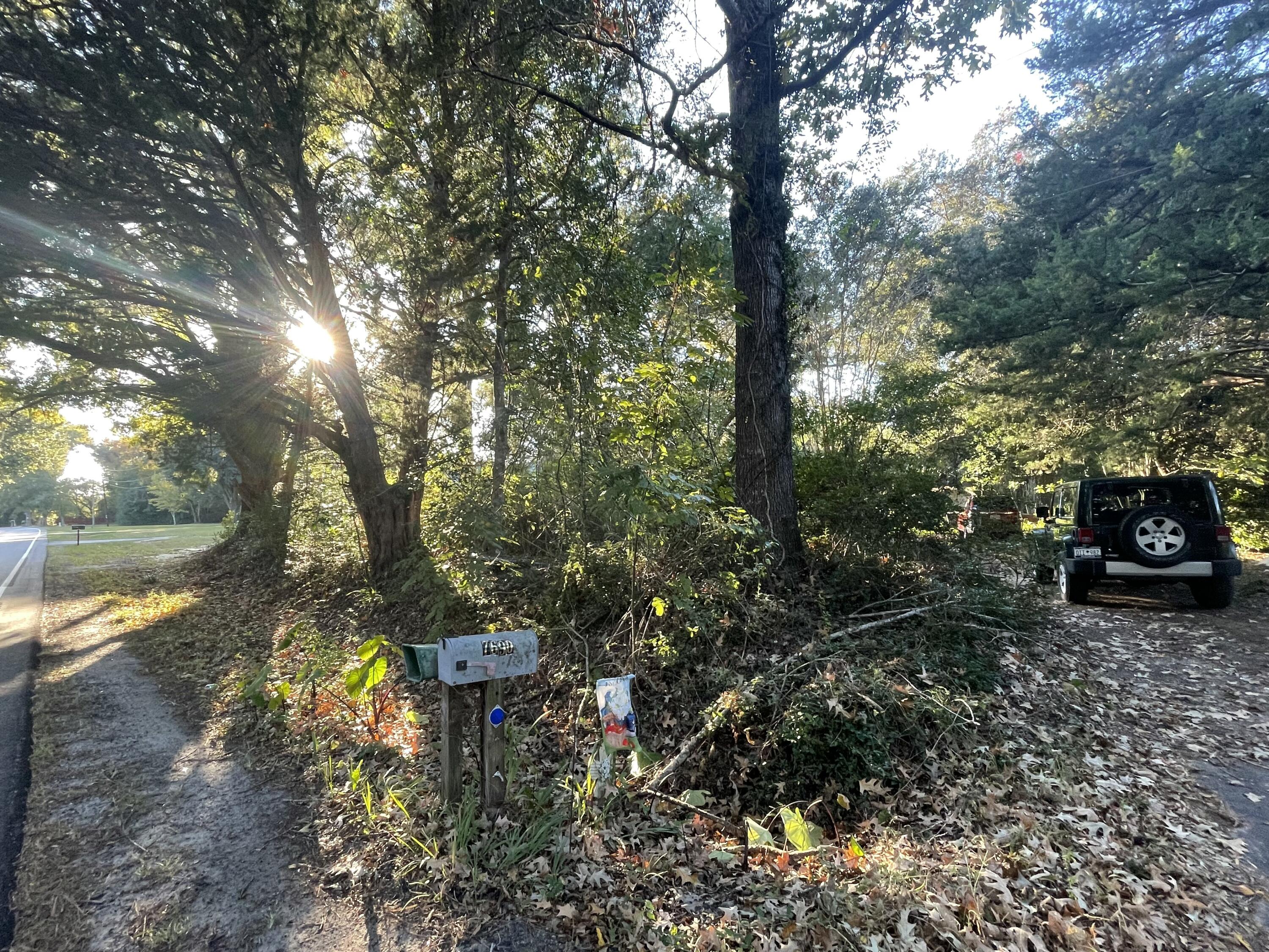 7690 Toogoodoo Road Meggett, SC 29449 - Photo 12 of 21 IMG_9801