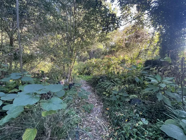 $245,000 | 7690 Toogoodoo Road, Meggett, SC 29449