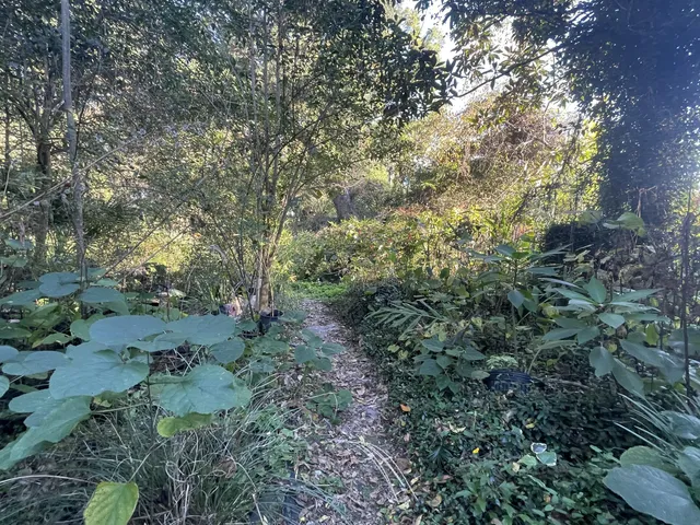 $245,000 | 7690 Toogoodoo Road, Meggett, SC 29449