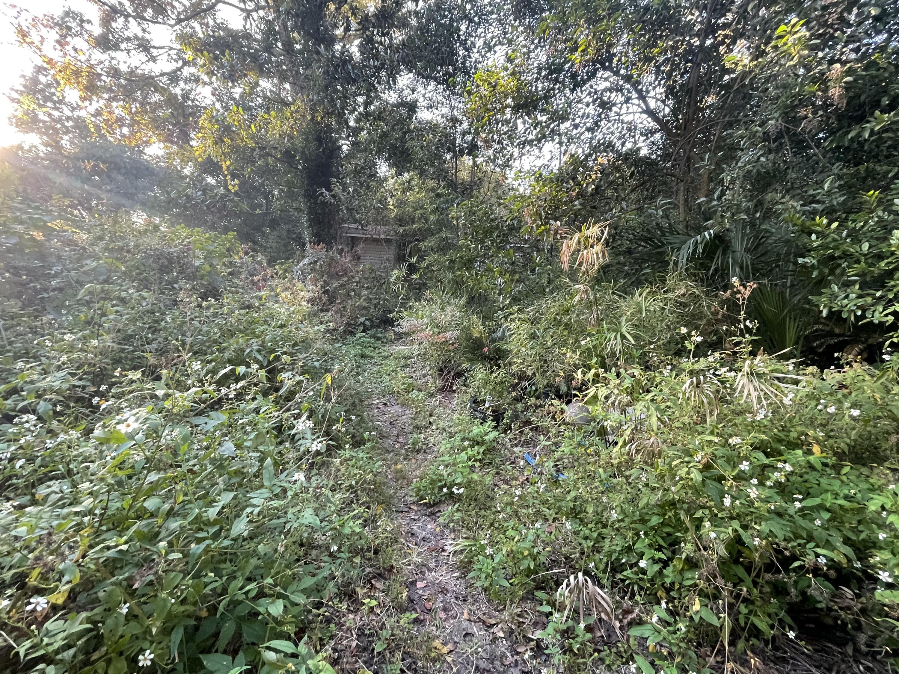 7690 Toogoodoo Road Meggett, SC 29449 - Photo 18 of 21 IMG_9825