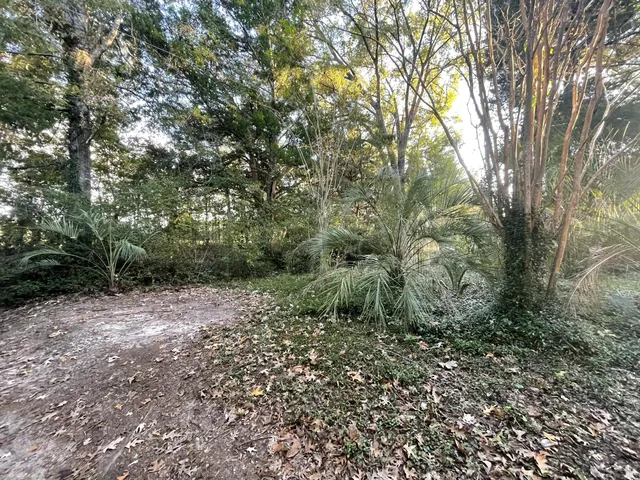 $245,000 | 7690 Toogoodoo Road, Meggett, SC 29449