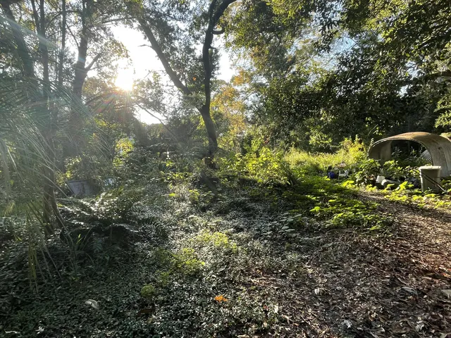 $245,000 | 7690 Toogoodoo Road, Meggett, SC 29449