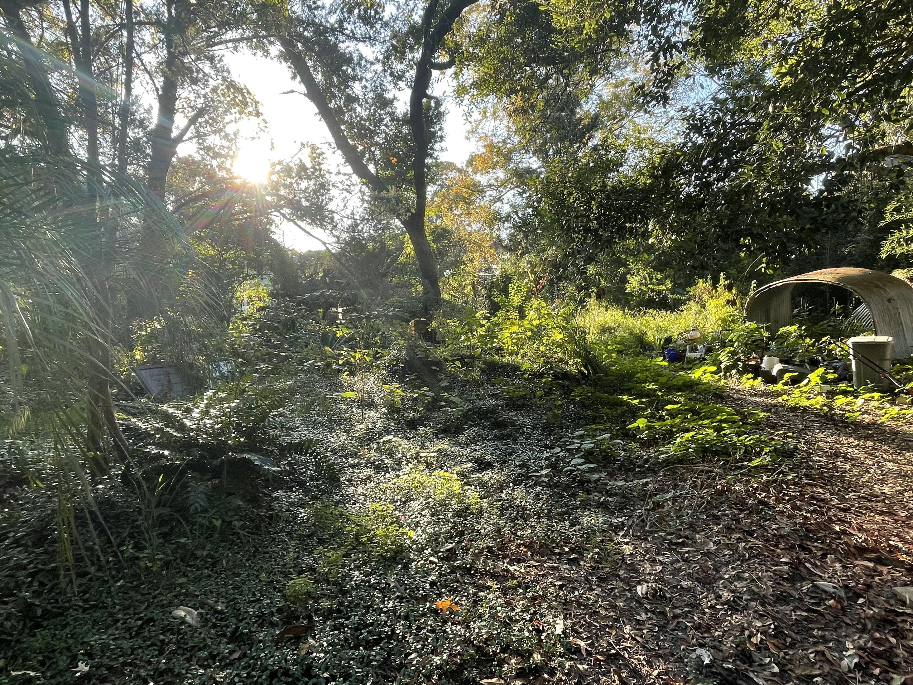 7690 Toogoodoo Road Meggett, SC 29449 - Photo 2 of 21 IMG_9802