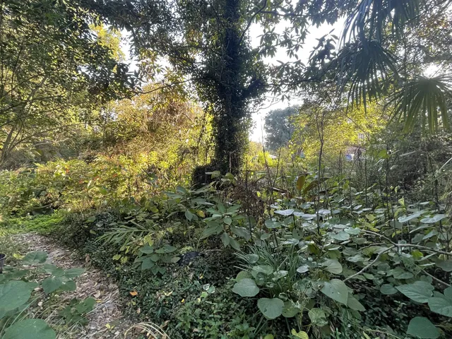 $245,000 | 7690 Toogoodoo Road, Meggett, SC 29449