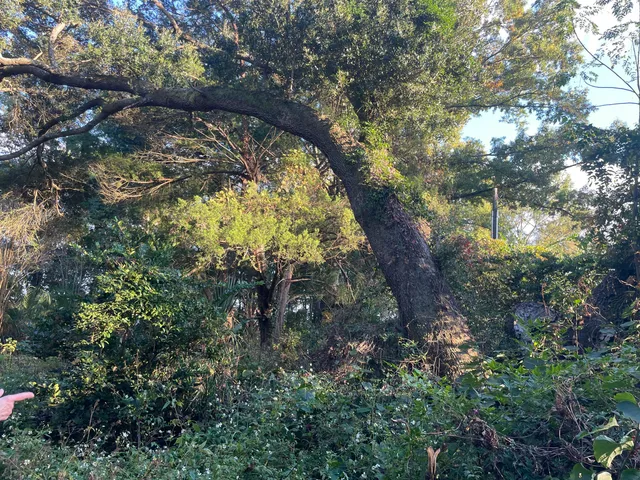 $245,000 | 7690 Toogoodoo Road, Meggett, SC 29449