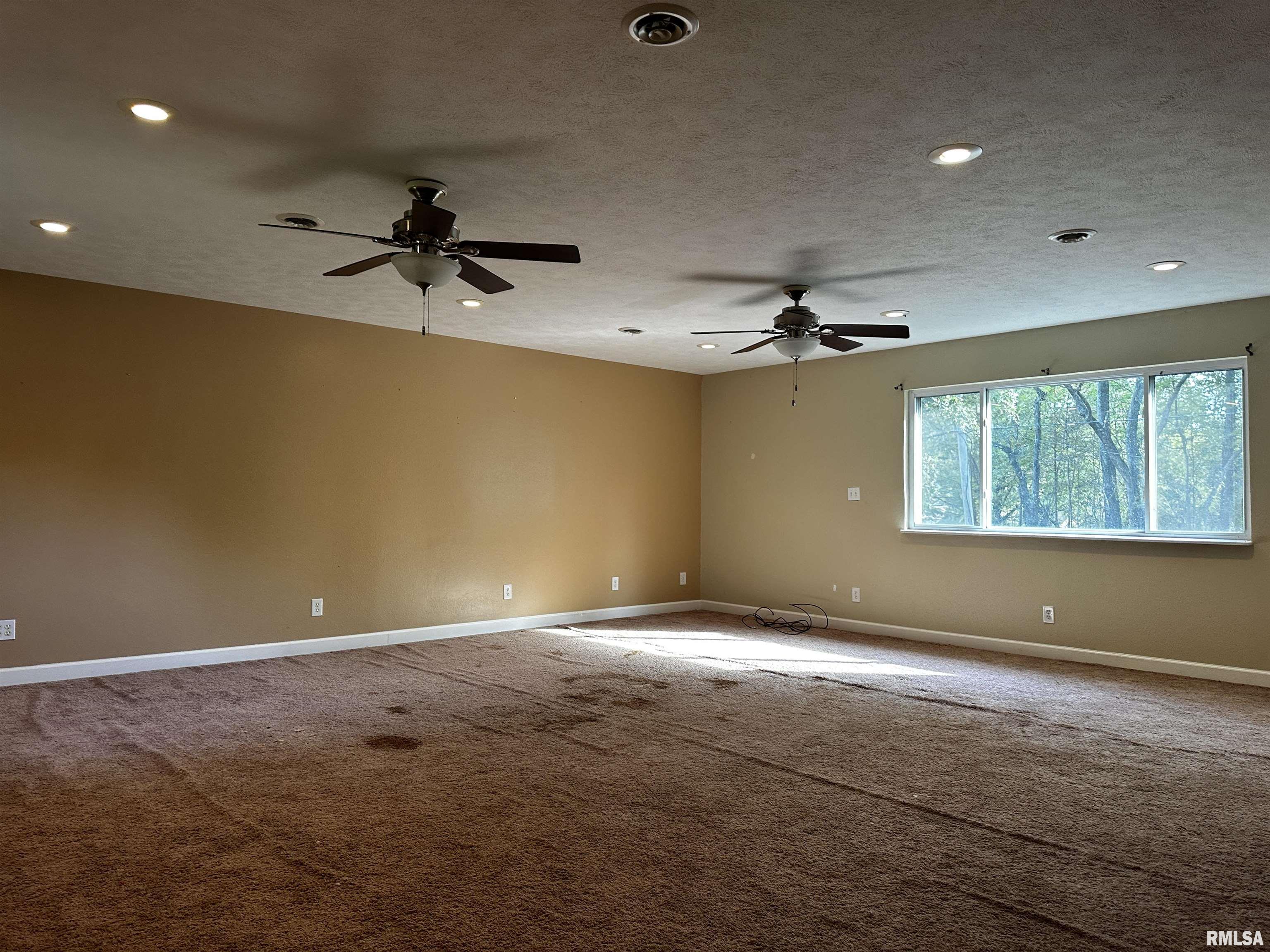 13253 North Greenbriar Road Carterville, IL 62918 - Photo 19 of 29