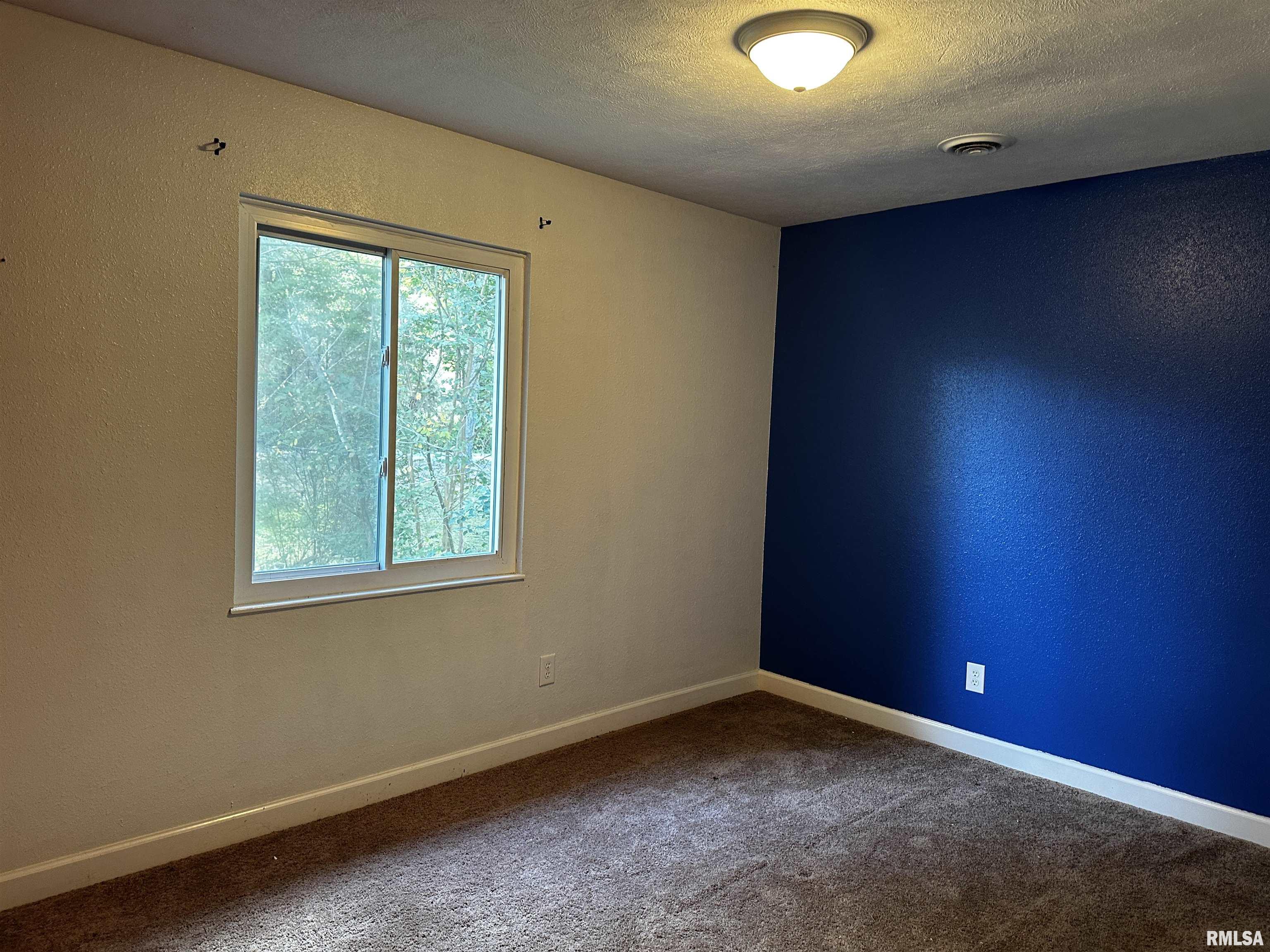 13253 North Greenbriar Road Carterville, IL 62918 - Photo 22 of 29