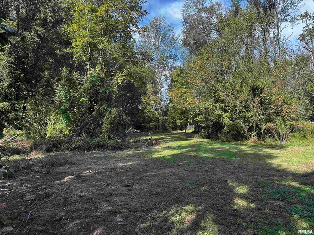 $85,000 | 13253 North Greenbriar Road, Carterville, IL 62918