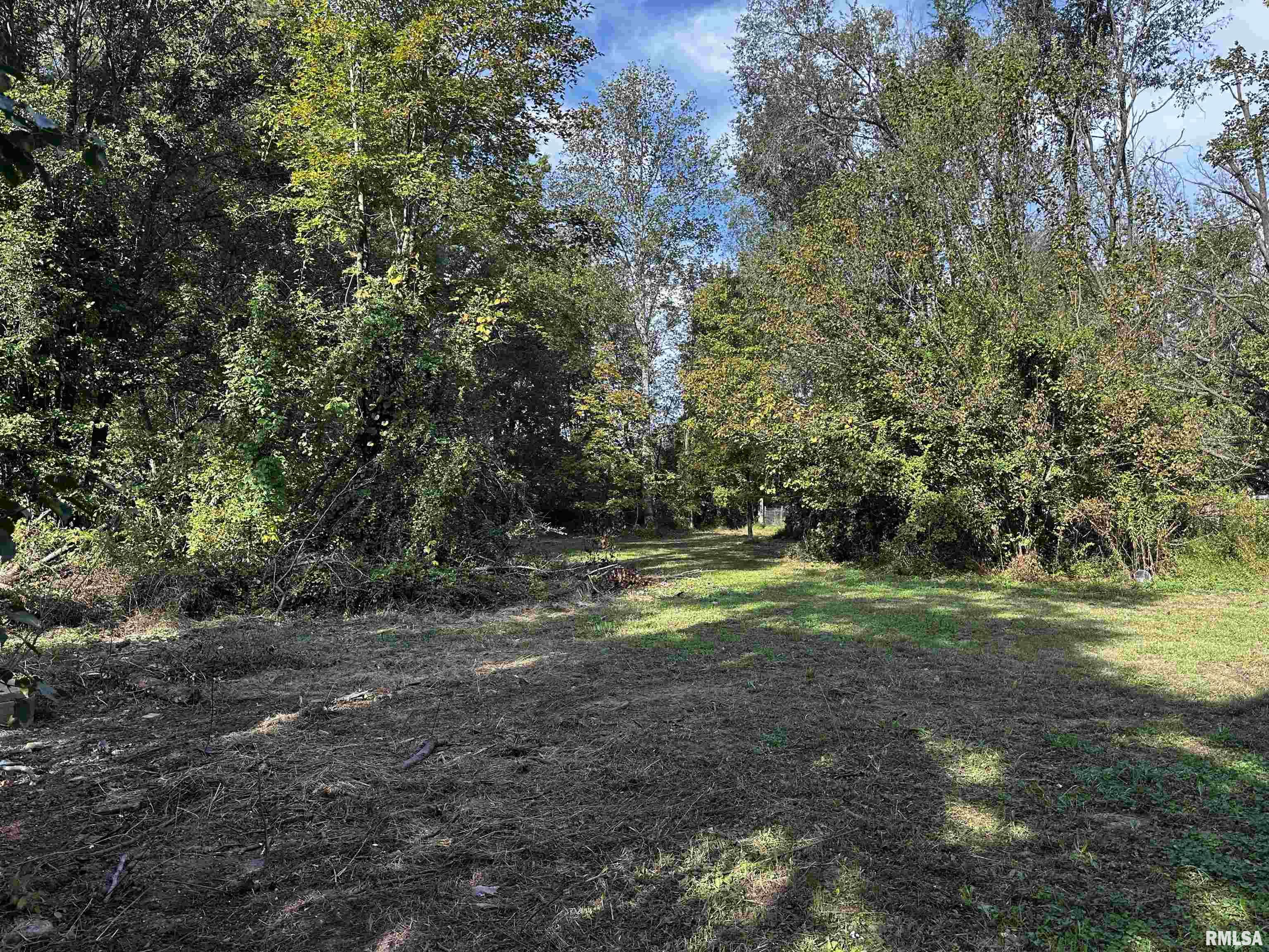 13253 North Greenbriar Road Carterville, IL 62918 - Photo 7 of 29