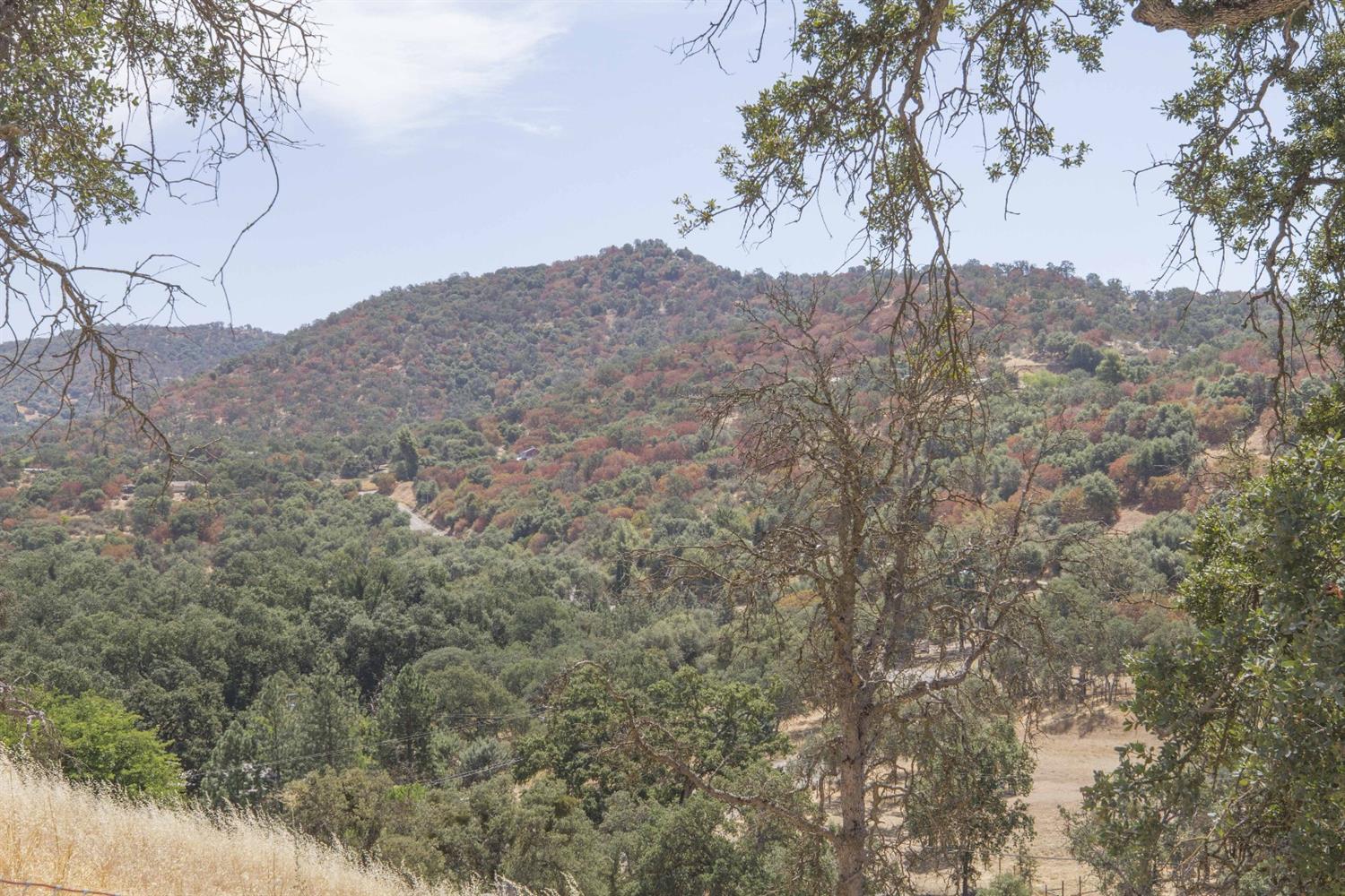 47820 Creekside Road Squaw Valley, CA 93675 - Photo 44 of 54 Gallery Image 44