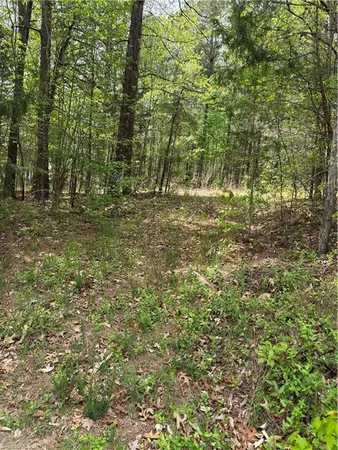 $257,000 | 0 Clyde King Road, Seagrove, NC 27341