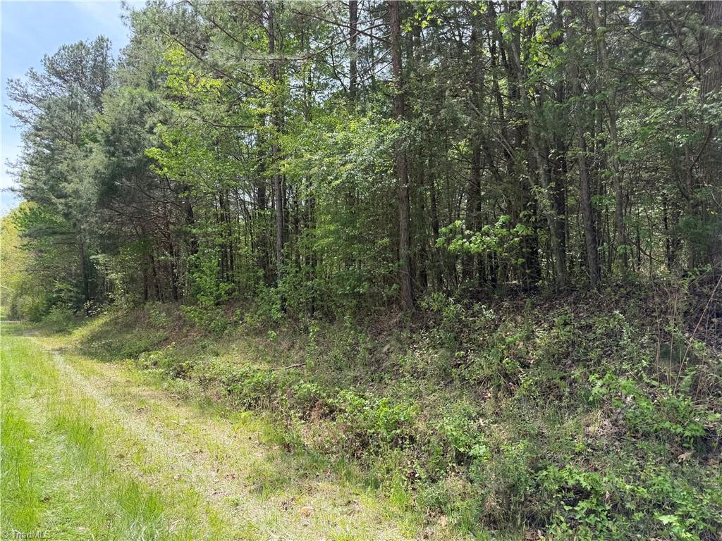 0 Clyde King Road Seagrove, NC 27341 - Photo 3 of 11