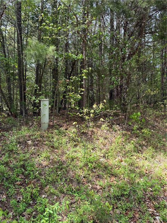 0 Clyde King Road Seagrove, NC 27341 - Photo 5 of 11