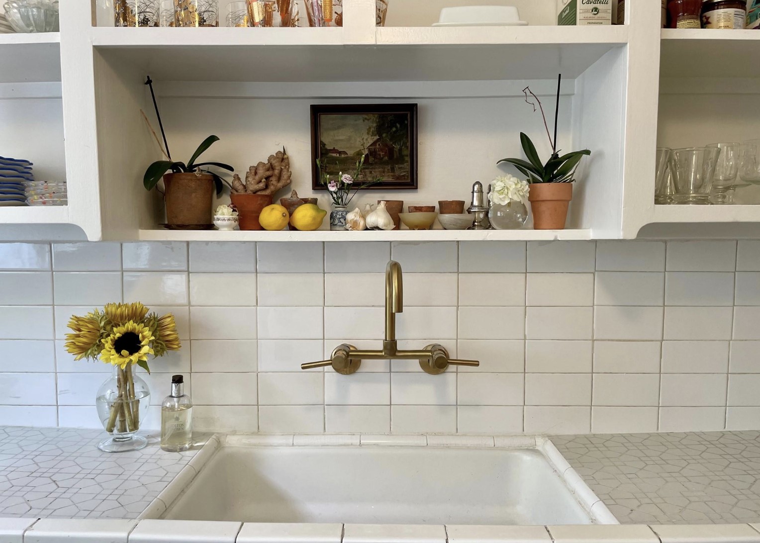 429 Hawthorne Street Houston, TX 77006 - Photo 21 of 35 a bathroom with a potted plant and a sink