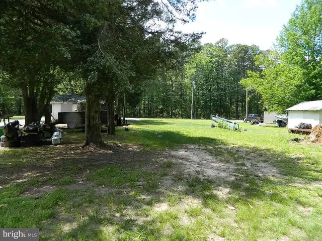 a view of a park with large trees