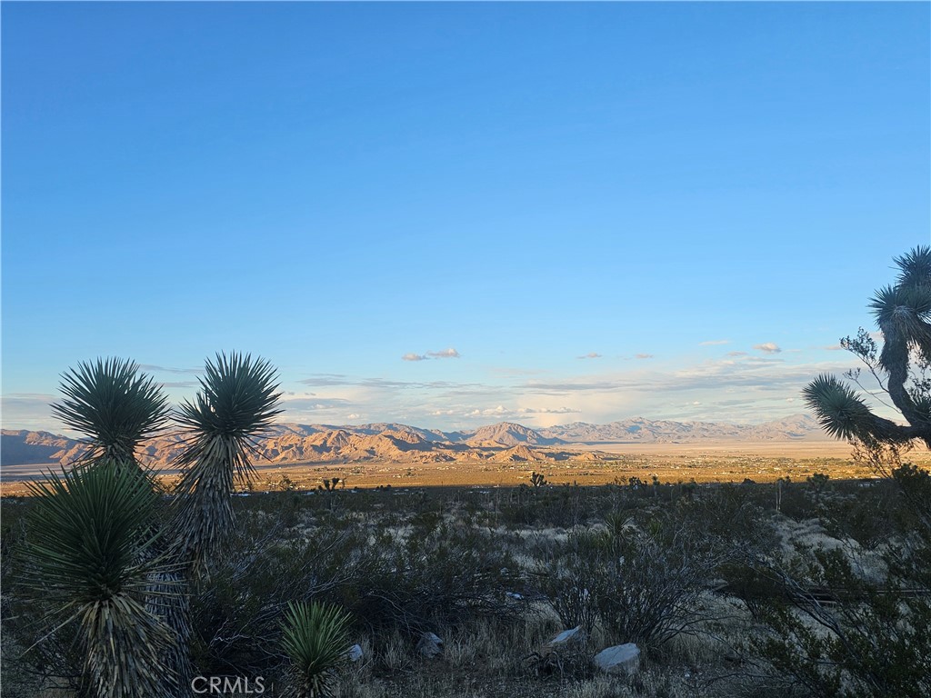411 Powerline Road Lucerne Valley, CA 92356 - Photo 10 of 10 The View!