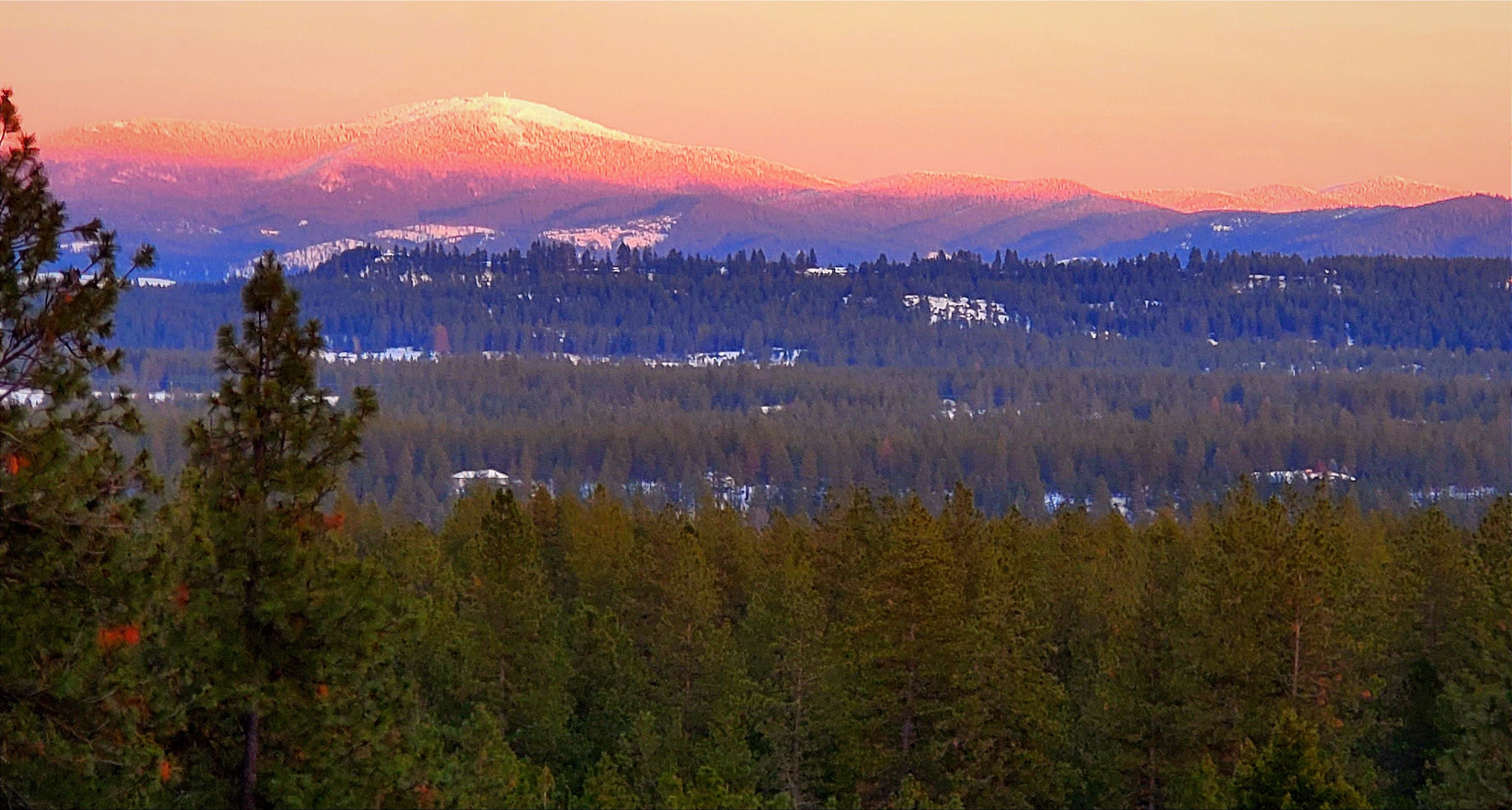 23214 North Perry Road Colbert, WA 99005 - Photo 43 of 50