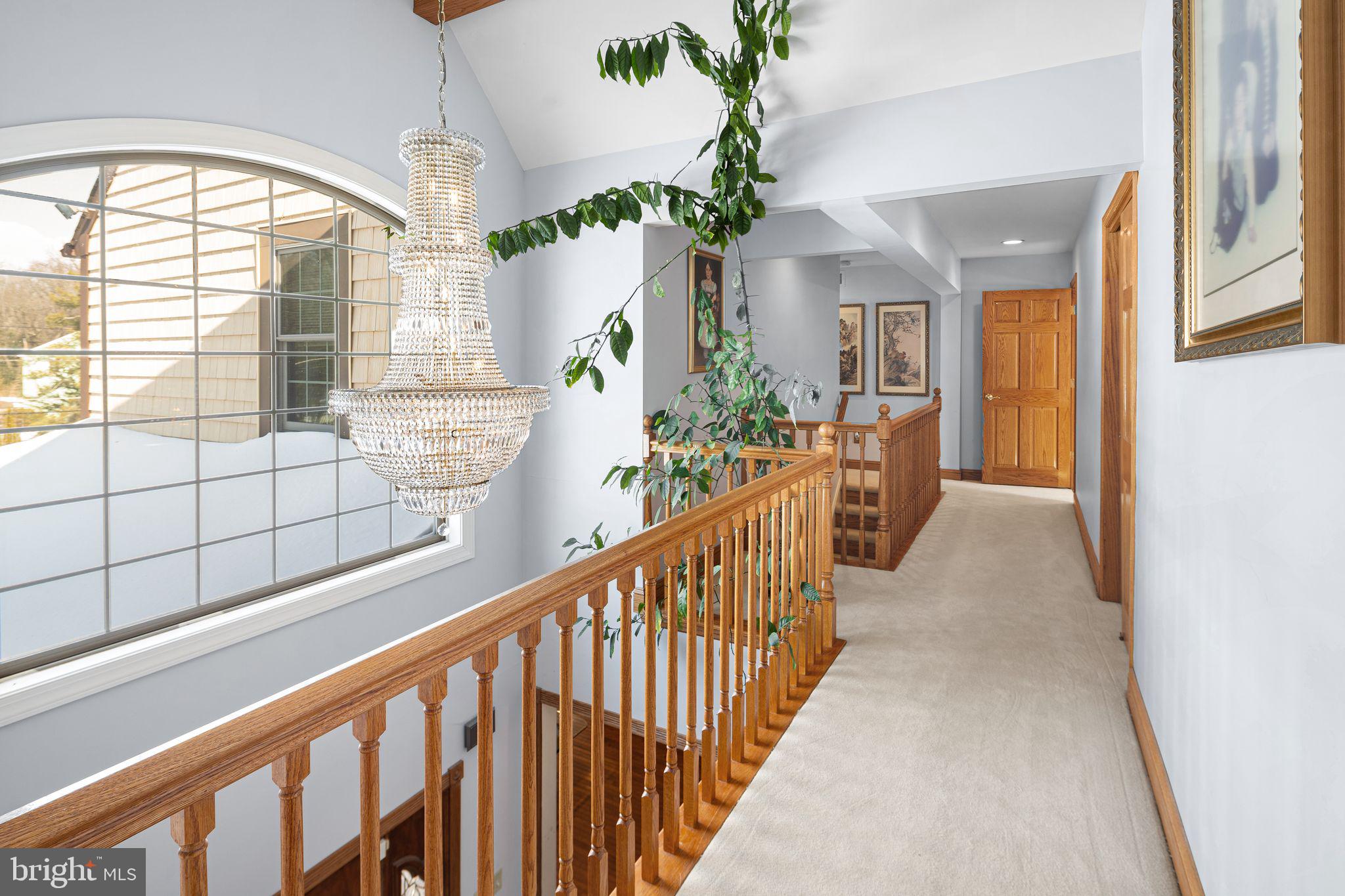 113 White Oak Road Cherry Hill, NJ 08034 - Photo 24 of 39