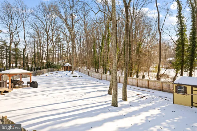 a view of park with trees